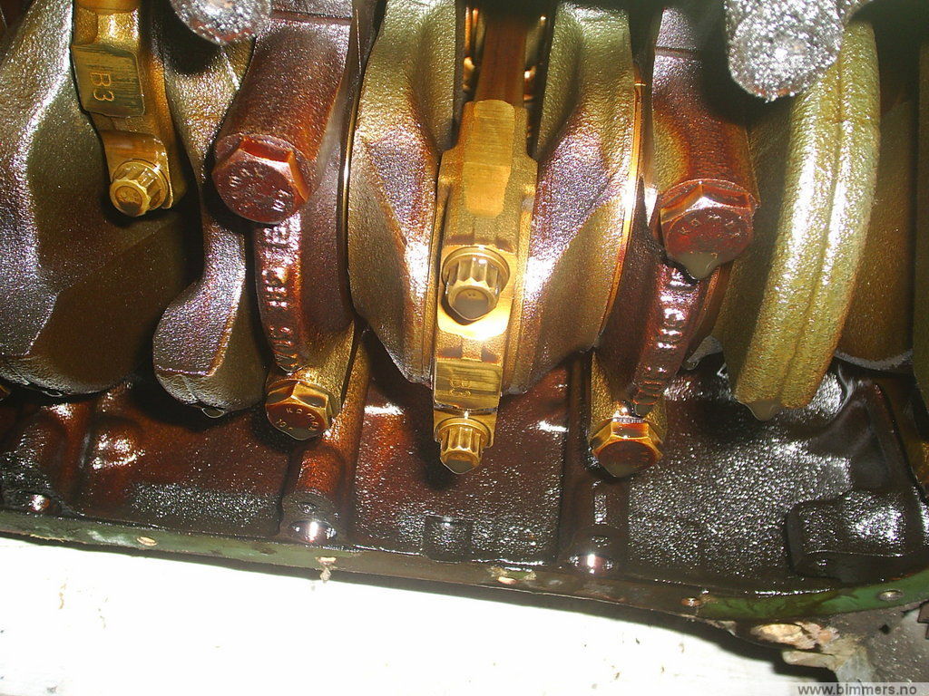 telsmz55iv5de8794cjk.jpg
