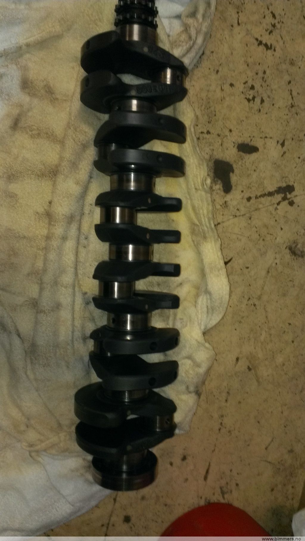toesszs72iplo4swbn9m.jpg