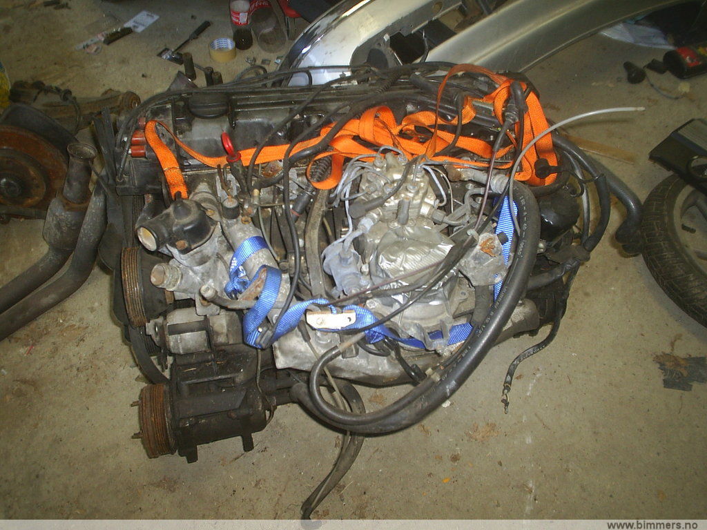ts53bd2whev36xuzwhru.jpg