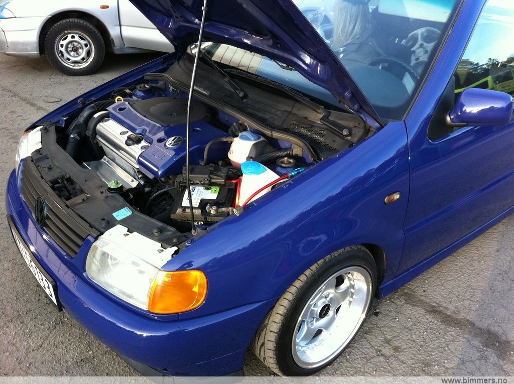tyajubof982u03lt1xdf.jpg