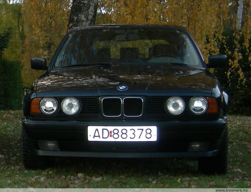 u42w1w2dvrub5yjknkqm.jpg