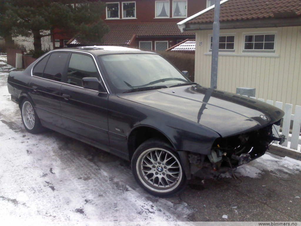 u53ybohm18k1pcj51pe5.jpg
