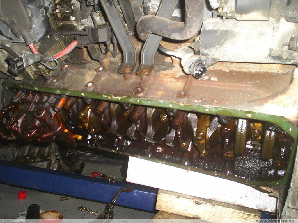 uia6c95hs8axwc1m6i5x.jpg