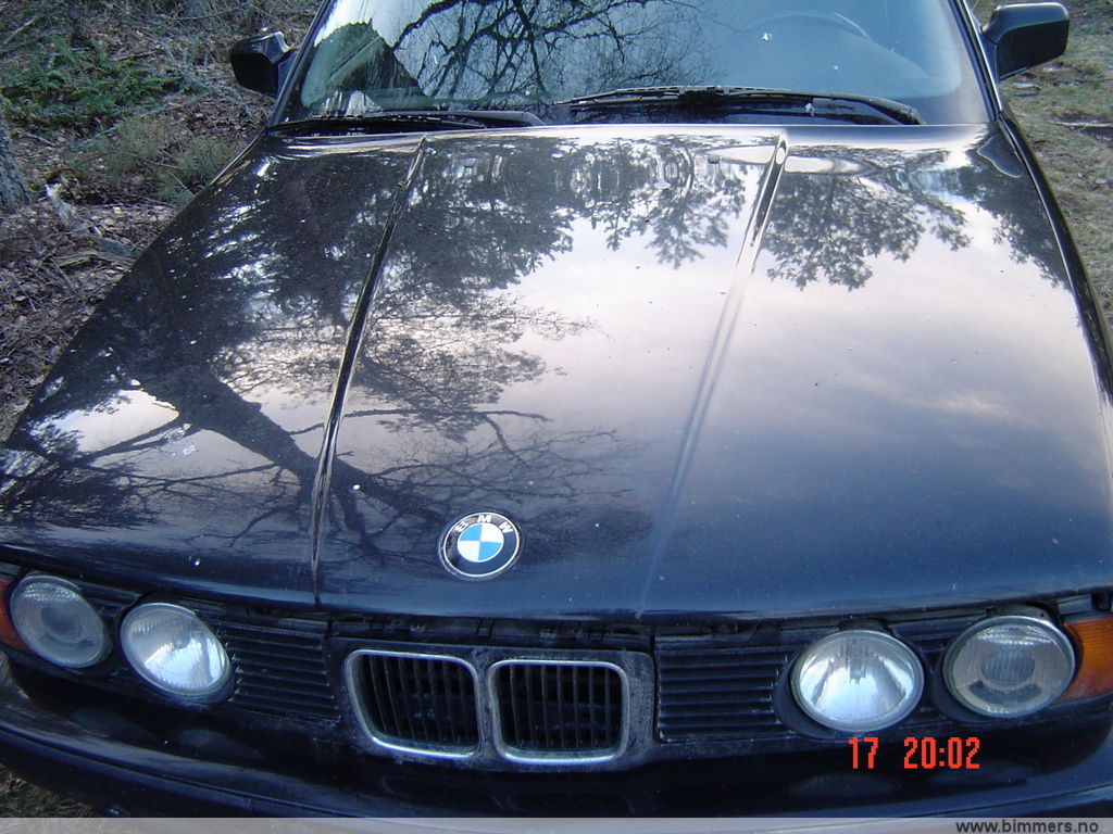 un5i3xf6899qi3ale632.jpg