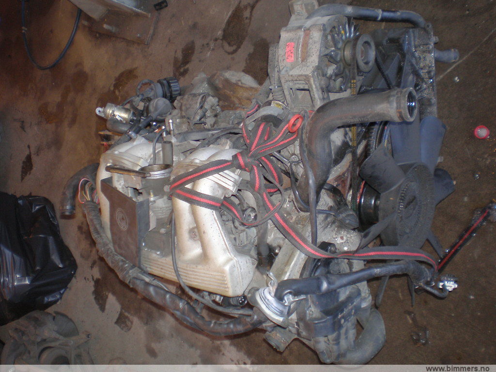 v4a62nrwewyl2frg20is.jpg
