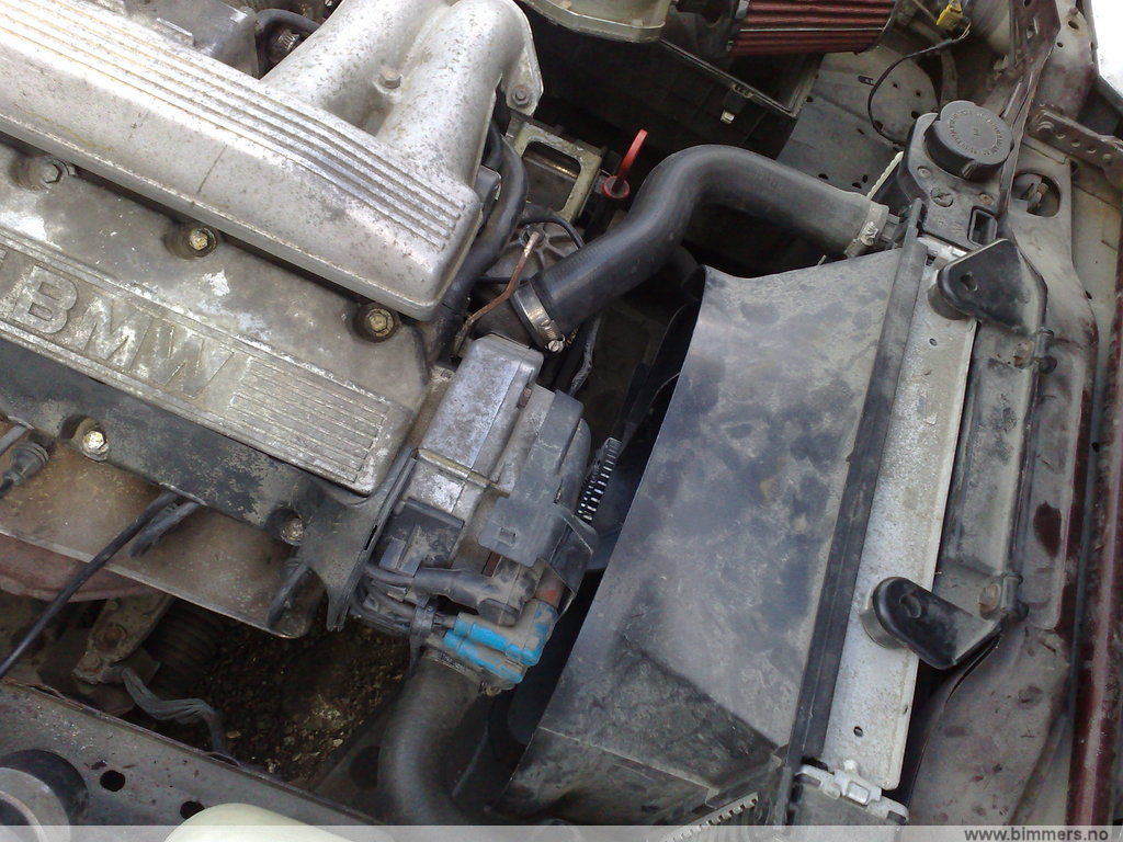 v6gbwprp4iog8ygrmbs8.jpg