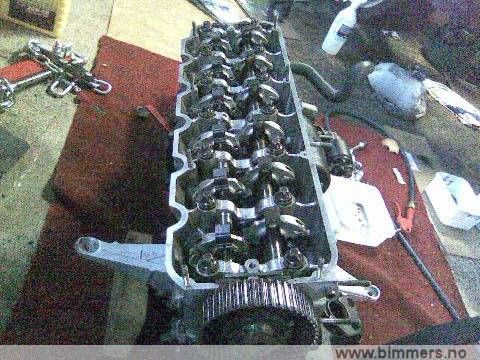 v85tr9bt777i6v8n8vz1.jpg