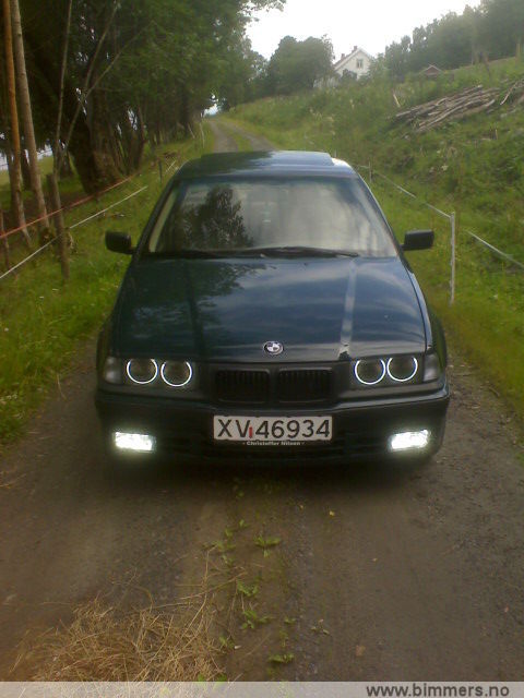 vl16vag8guwirmhx3so2.jpg
