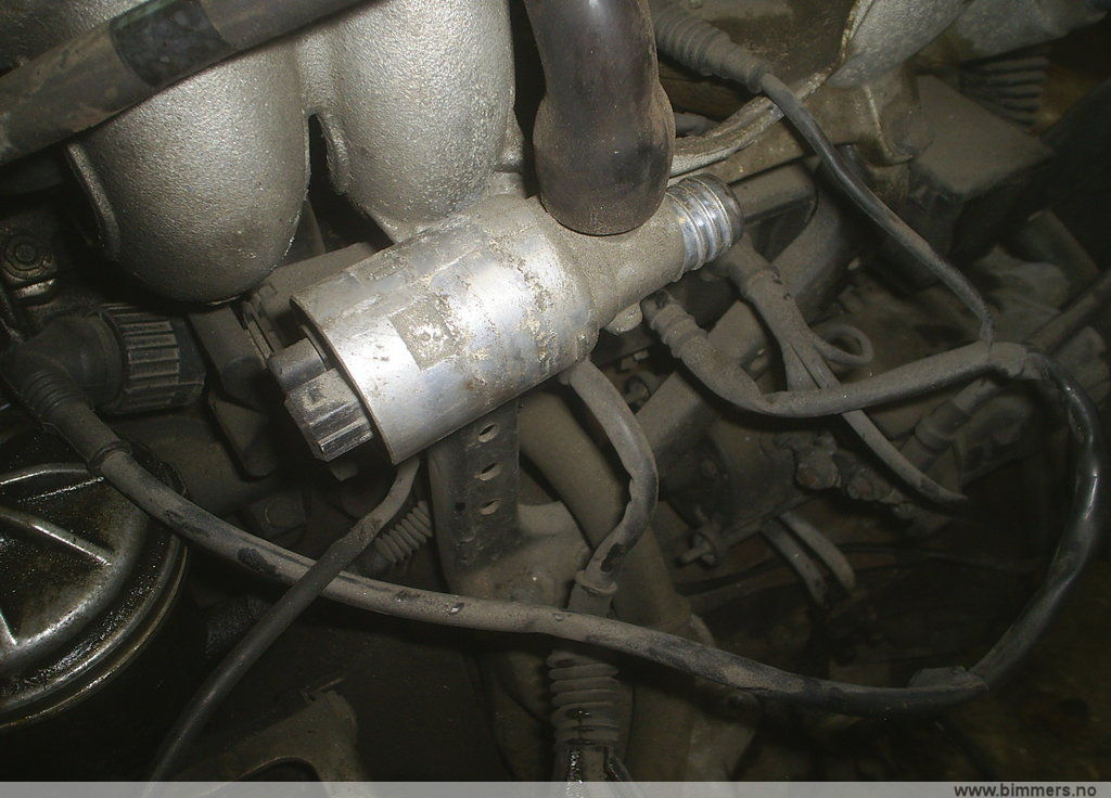vn2902d752jd4zl7zoqj.jpg