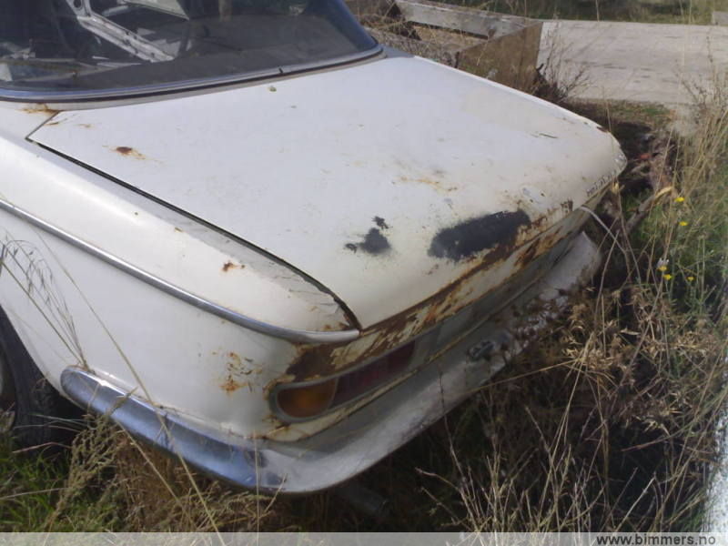 vq23yxcll1xf0c69orka.jpg