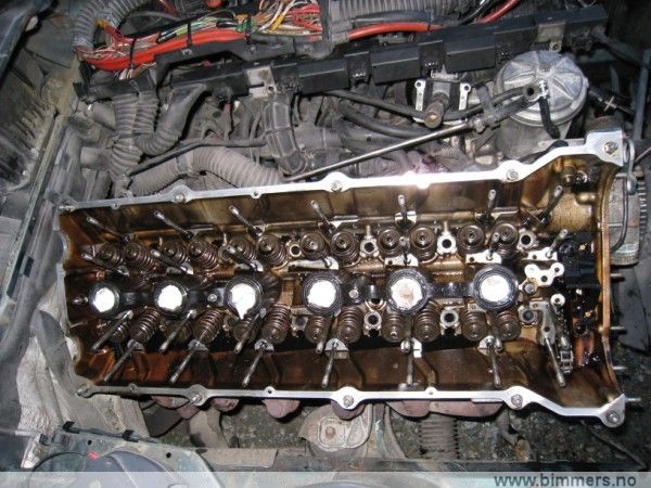 vu7gi1rgo2aiv2ca12fh.jpg