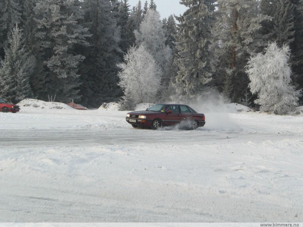vwmywt2up5sduexd8x1t.jpg