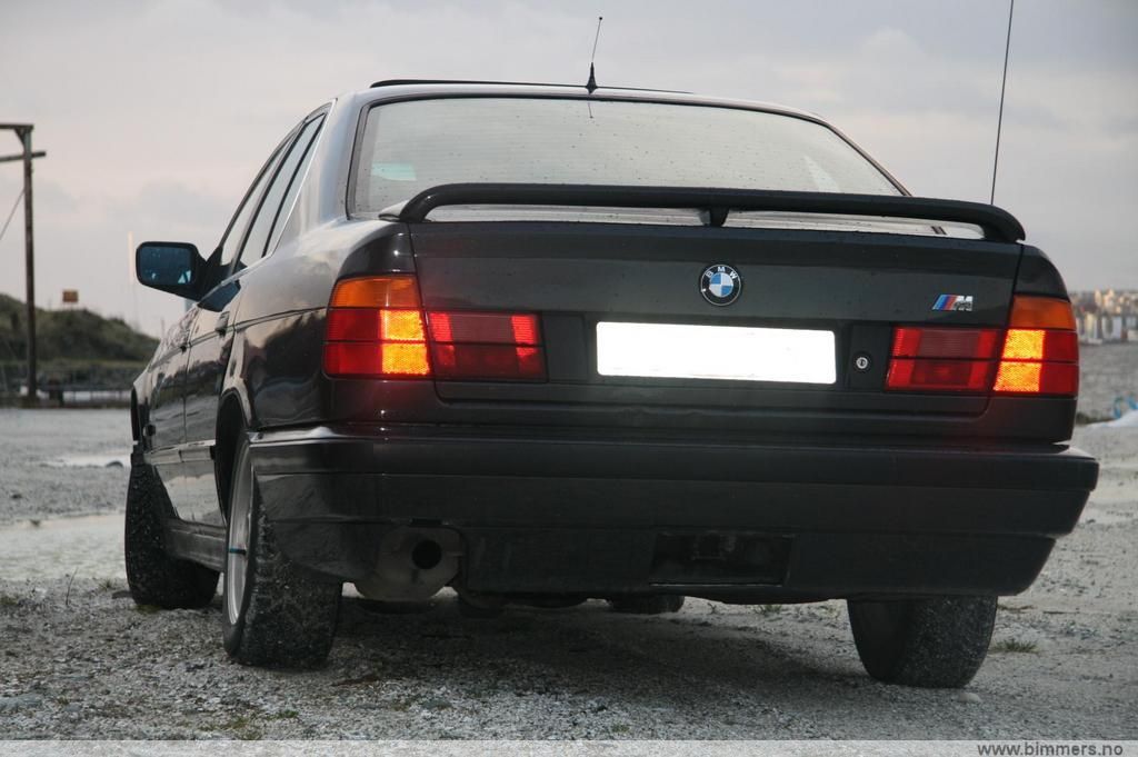 vx8rt3pmkqurkzjo5cu1.jpg