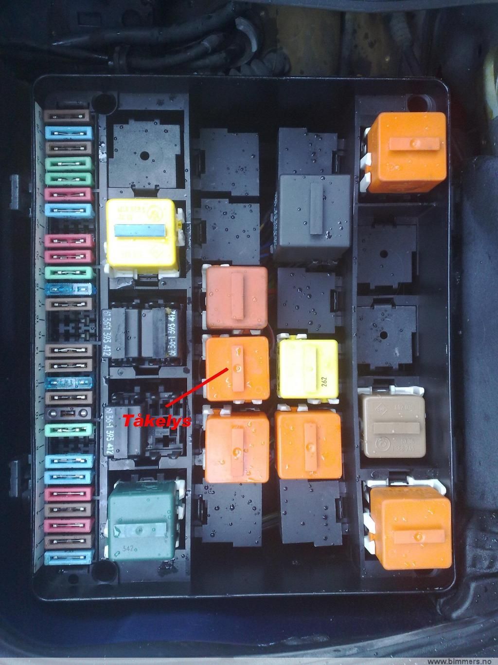 vxbfofrh3ktt7x59tqfk.jpg