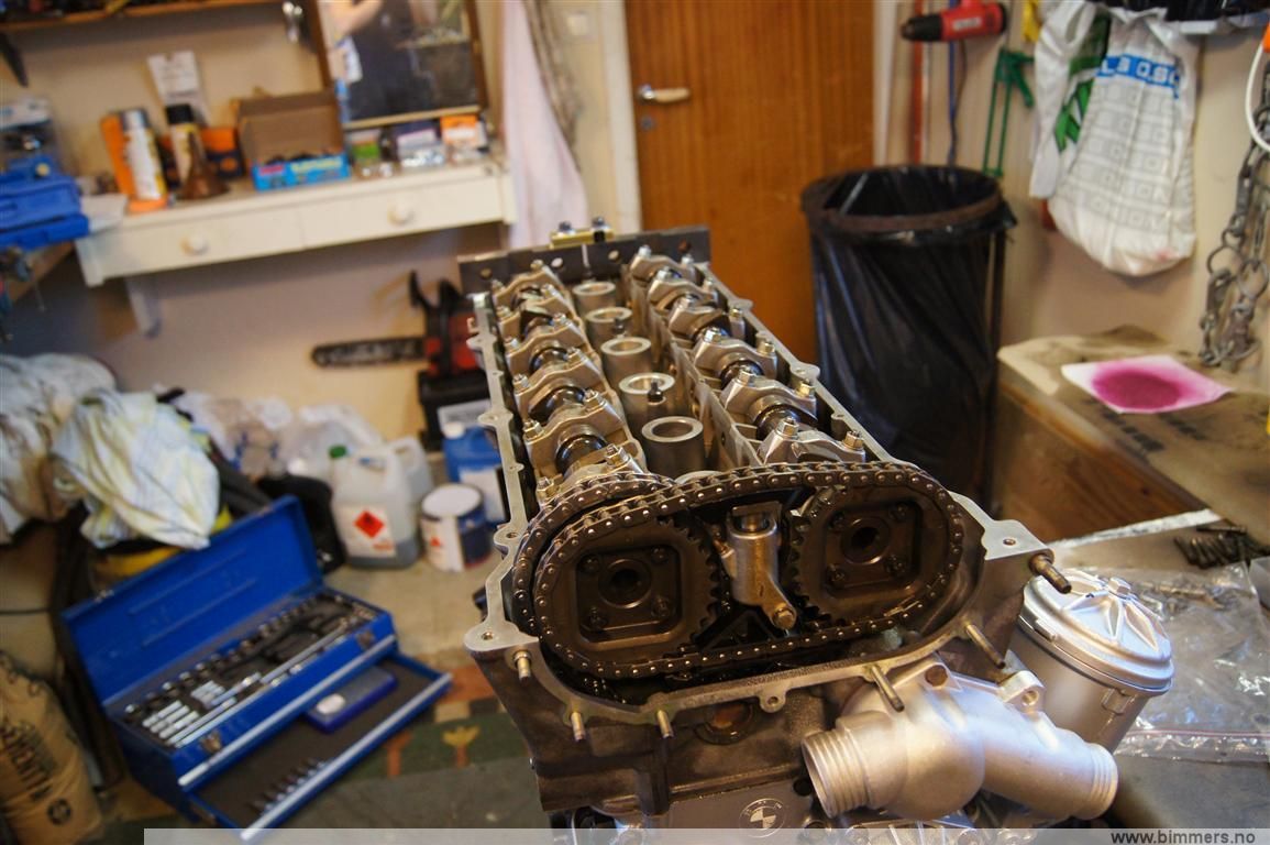 vz3ltj28x53jn6jutqd2.jpg