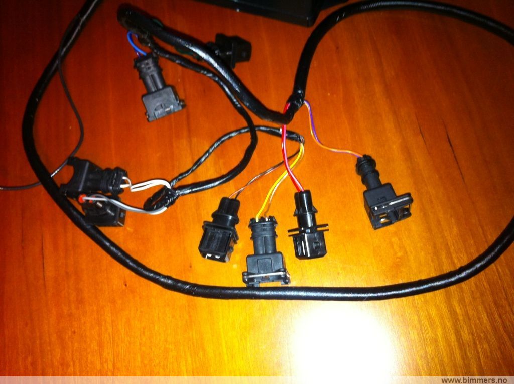 w1nz0x3iuxqvfpd80q37.jpg