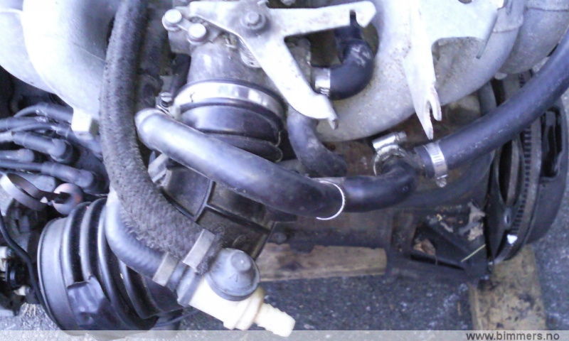 w6041erl6a3rowxn36ex.jpg