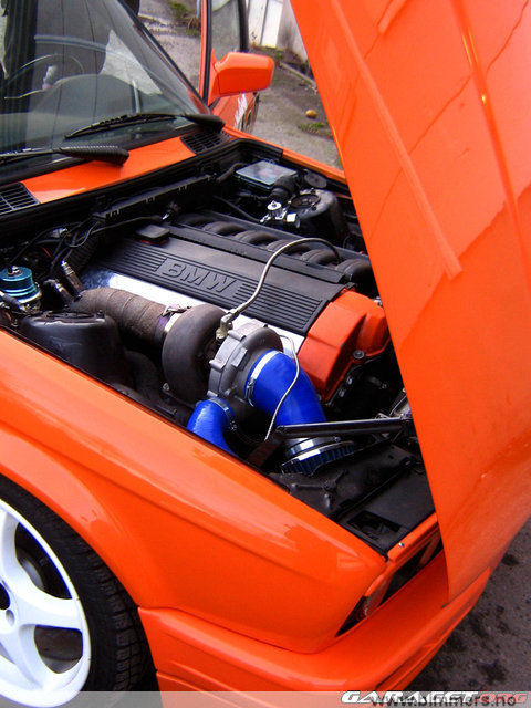 wfmlye876hlyhoq7lod3.jpg