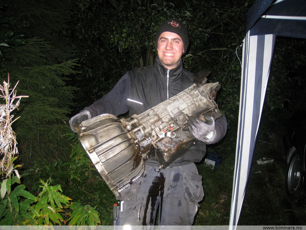 wgugl12g936imopvjsy5.jpg