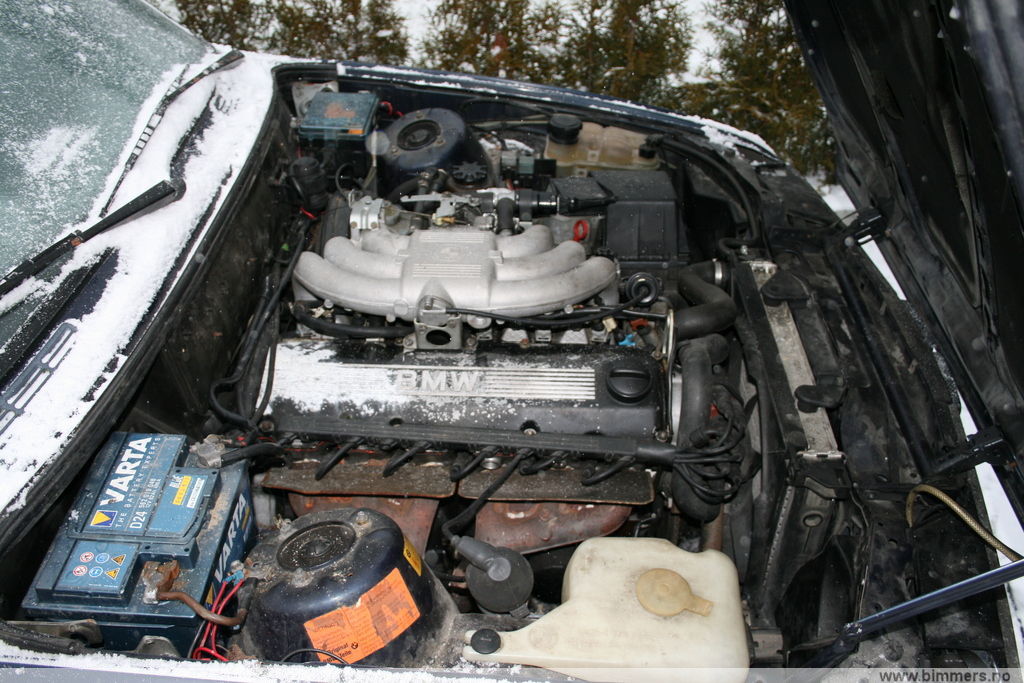 winmmpxang5r65ds6ljt.jpg