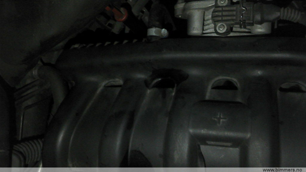 ws873sops8tq3kfuco7n.jpg