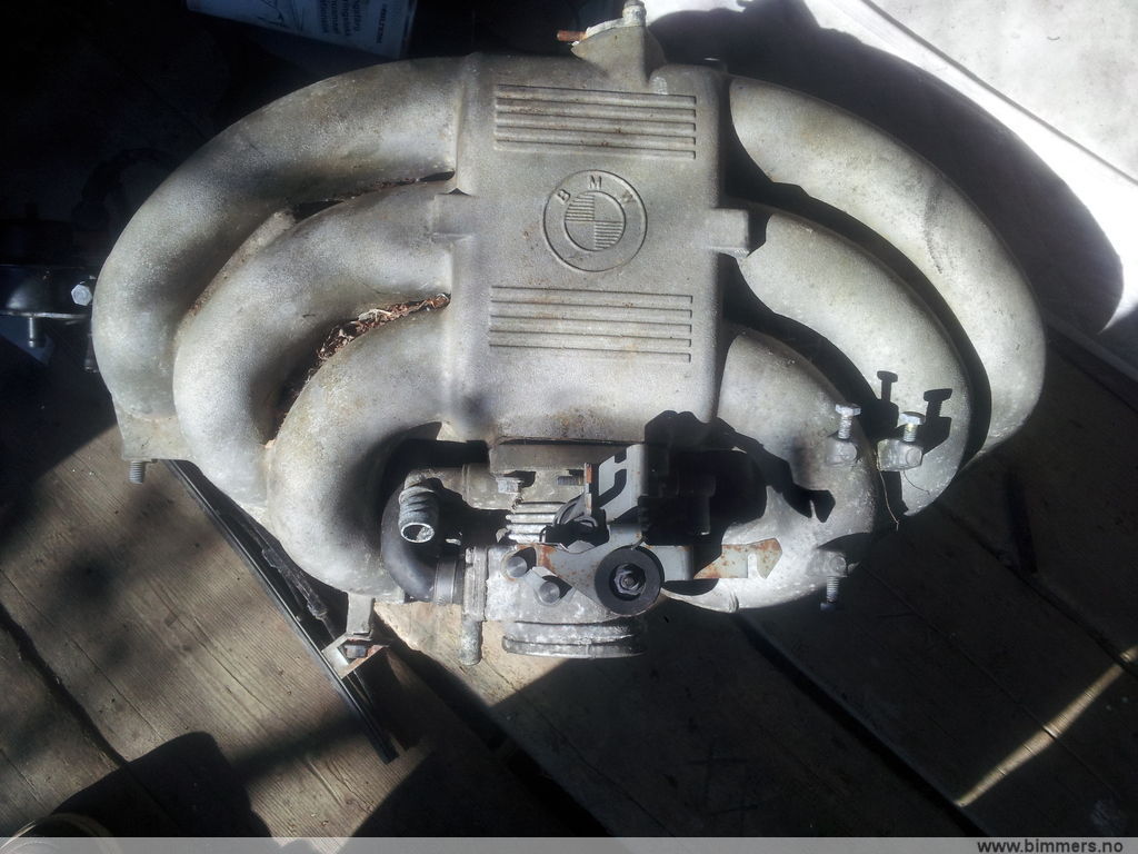 wsgg2c87tmdr626nddab.jpg