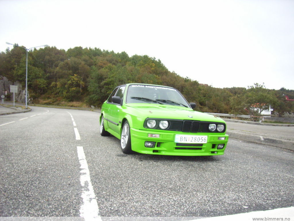 wt1rzsgav0rgm062gpfz.jpg
