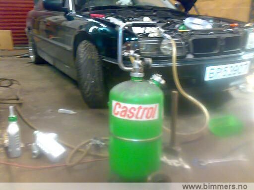 wz4pxq8usdewco2jmuh2.jpg