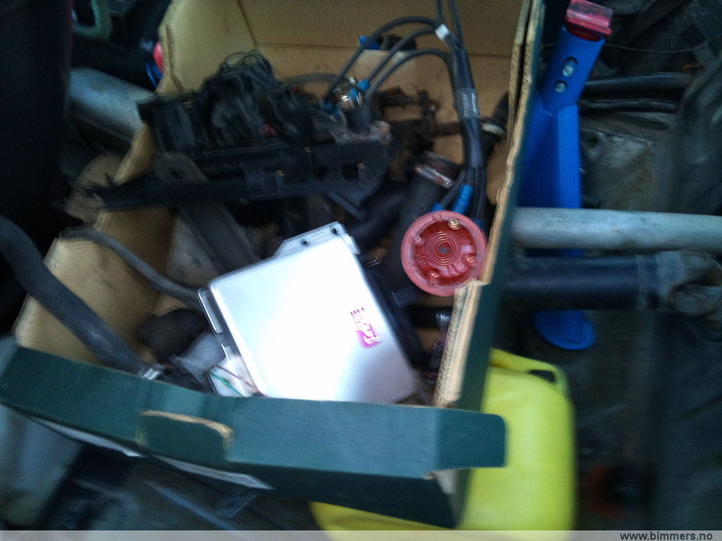 wz7aa5j0j8rsj78fr2or.jpg