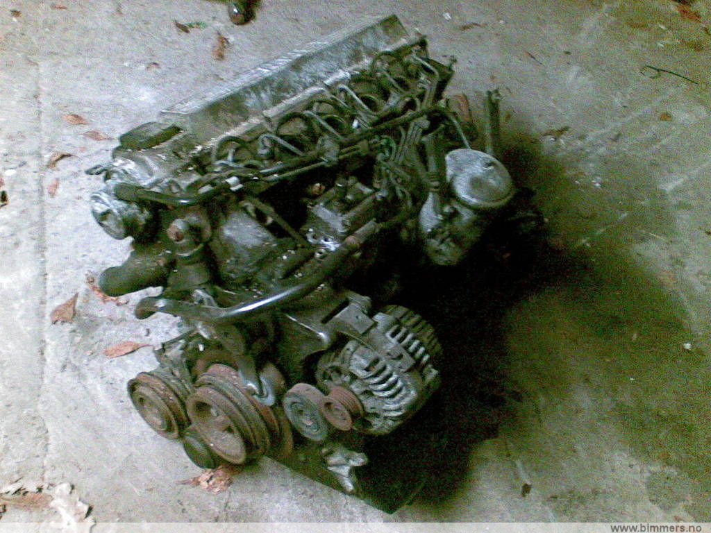 x6qcgpv8rc3sfk2dk5io.jpg