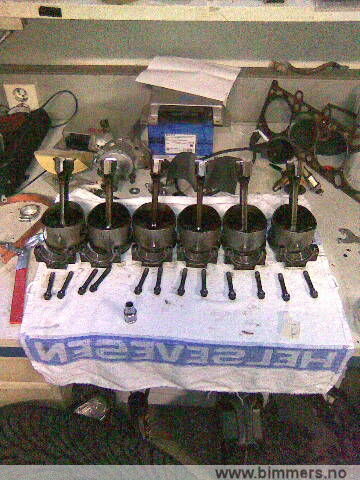 x6vsl2g8110mn2cpa2wc.jpg