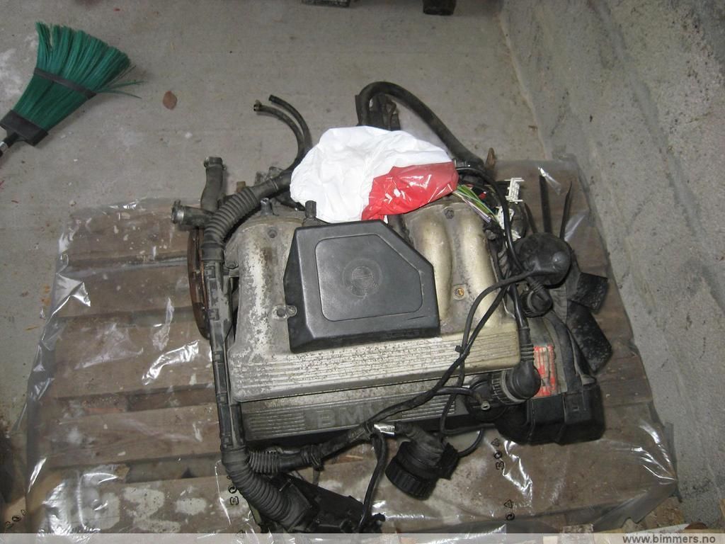 xfi65eegecquw2mzr70p.jpg