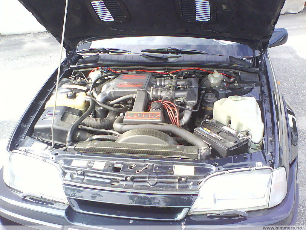 xl5jd2serw1y702yrvi3.jpg