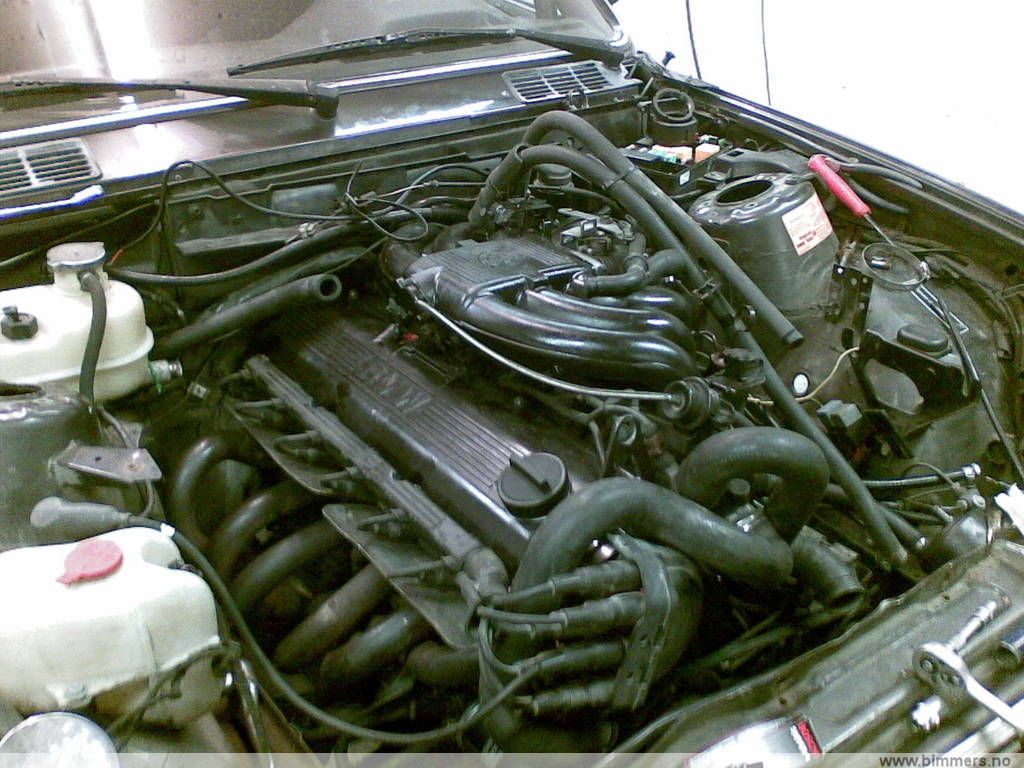 xm2hfkbc6zv6aqelkfkf.jpg