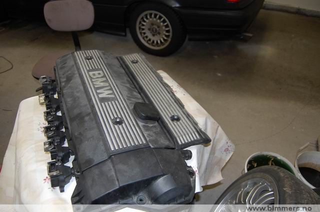 xpax1w74zposdxryraq5.jpg