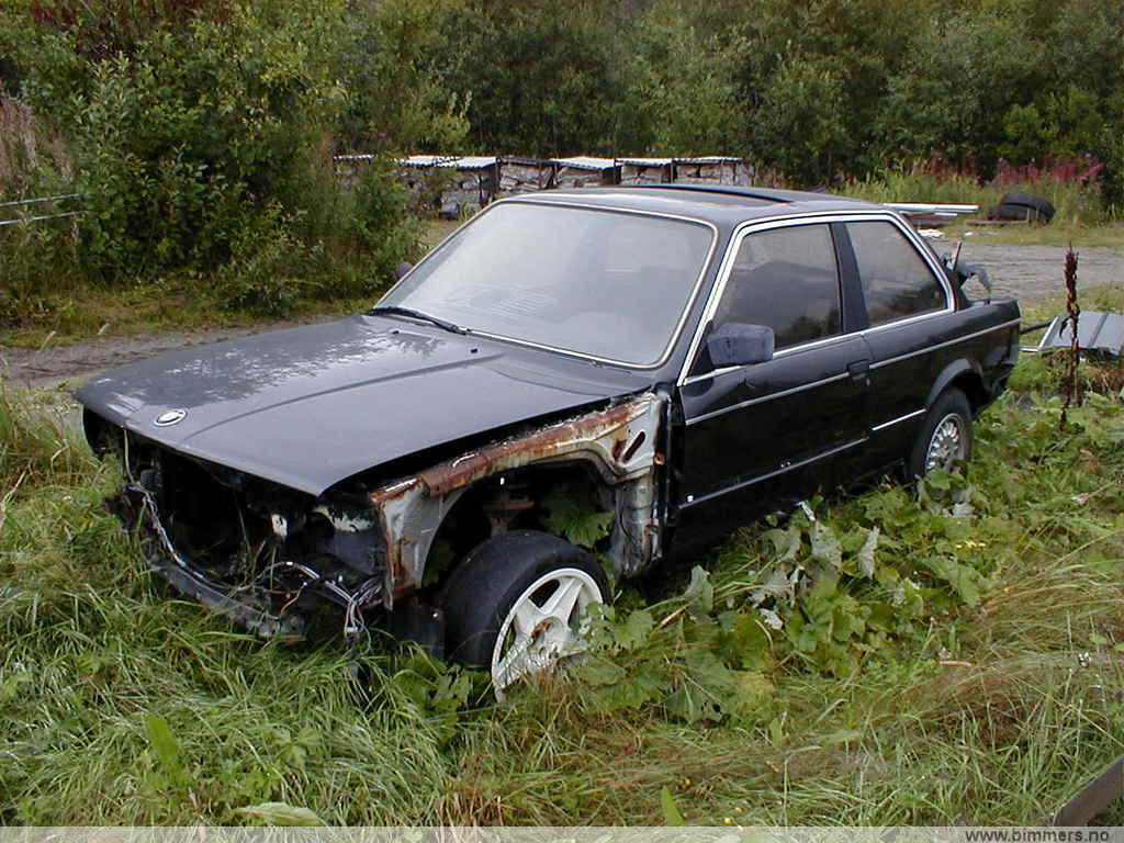 xy8s6zuuqppiudx5bojf.jpg