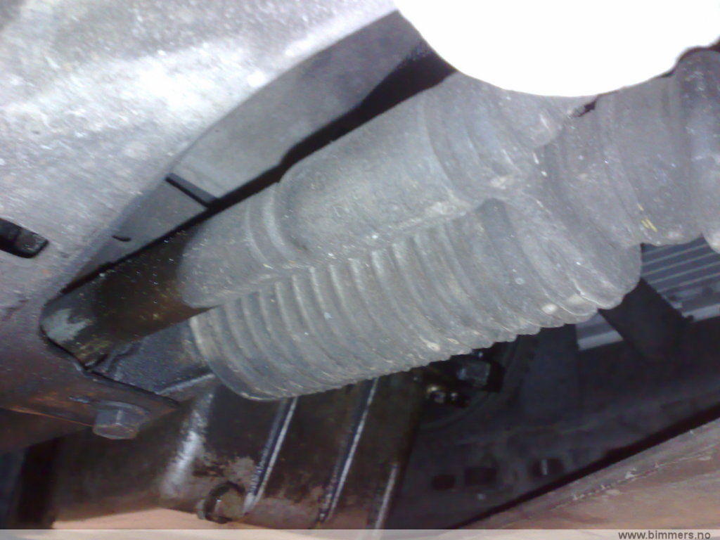 yexoy9flgbblsrg6p52b.jpg