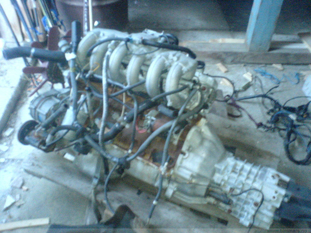 yqi22hoby59qdg61xsms.jpg