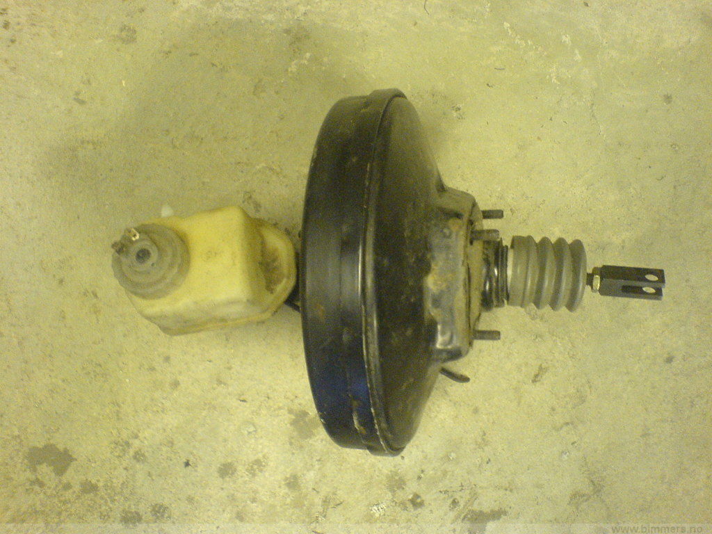 ysclokxuoxatxmqia89w.jpg