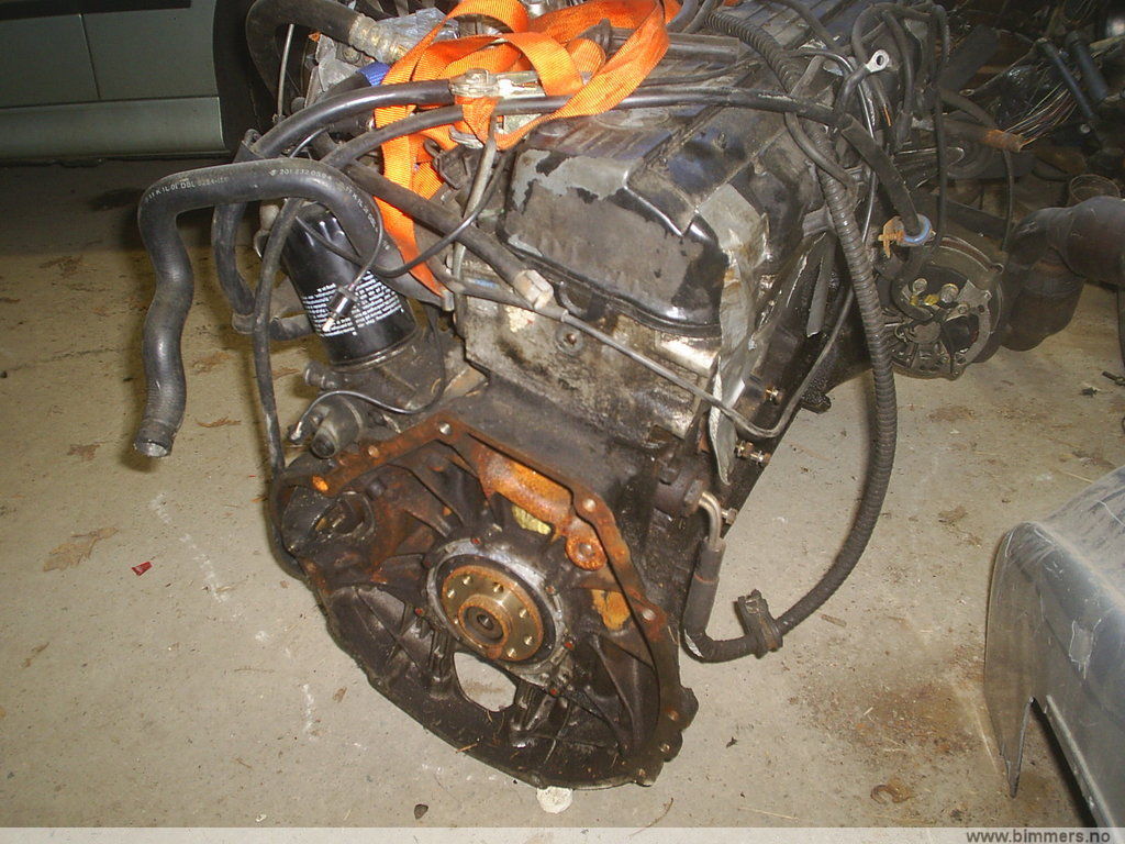 yz7lvh9rlobrwm16w9ok.jpg