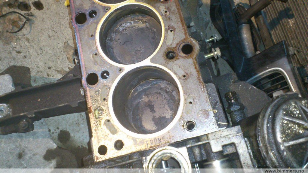 yz9t6v6iku7kt7a503n2.jpg