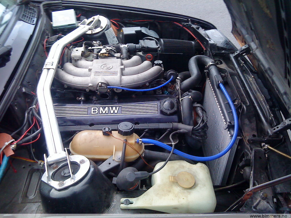 z317ha25jsgrgpqr6ljy.jpg