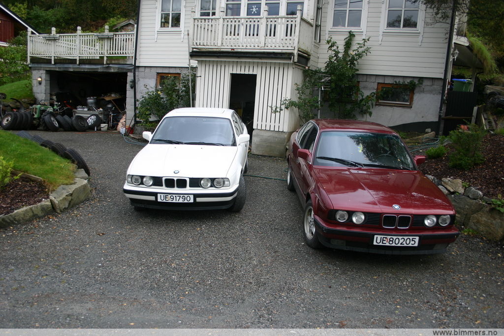 z3bg9w03cd0sumr1coe0.jpg
