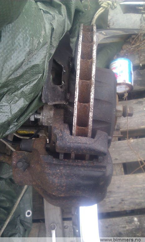 z98bapw9t72w5w85jzl8.jpg