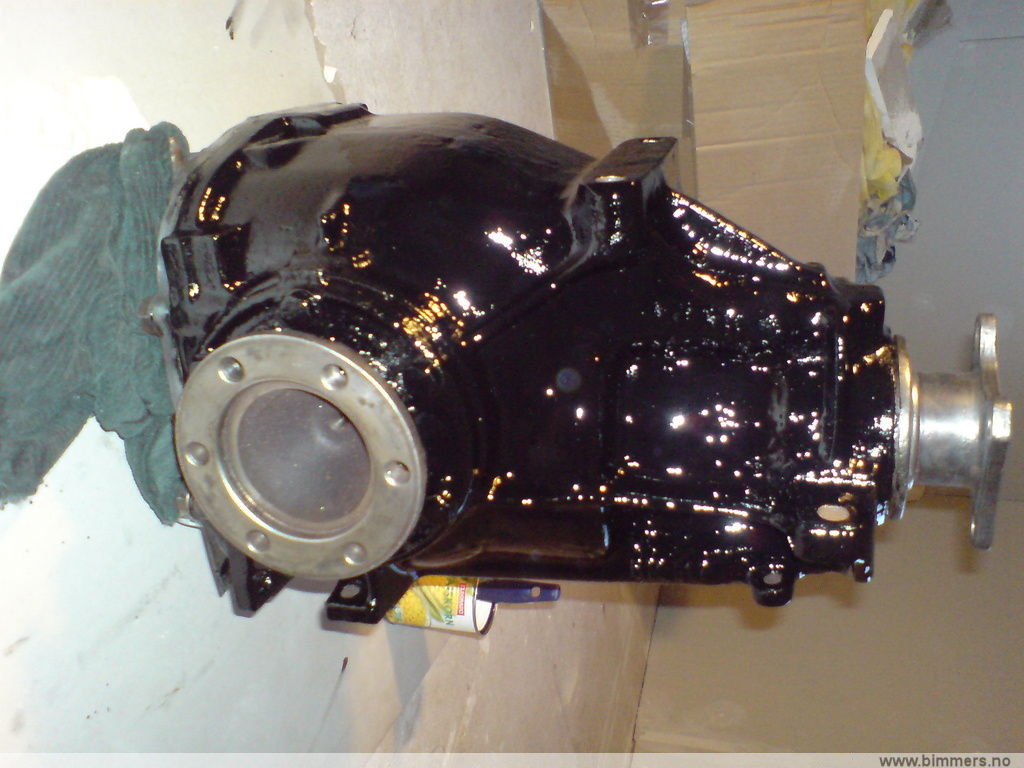 zmf8kxtz97qsirghkkxt.jpg