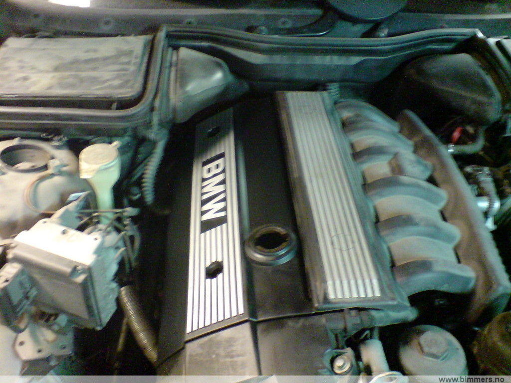 zs701bnt7bm1a97qssrb.jpg