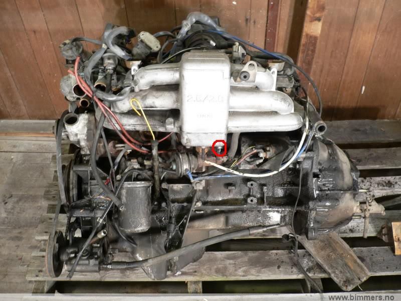 zsj346ak46xcn2gt06ow.jpg