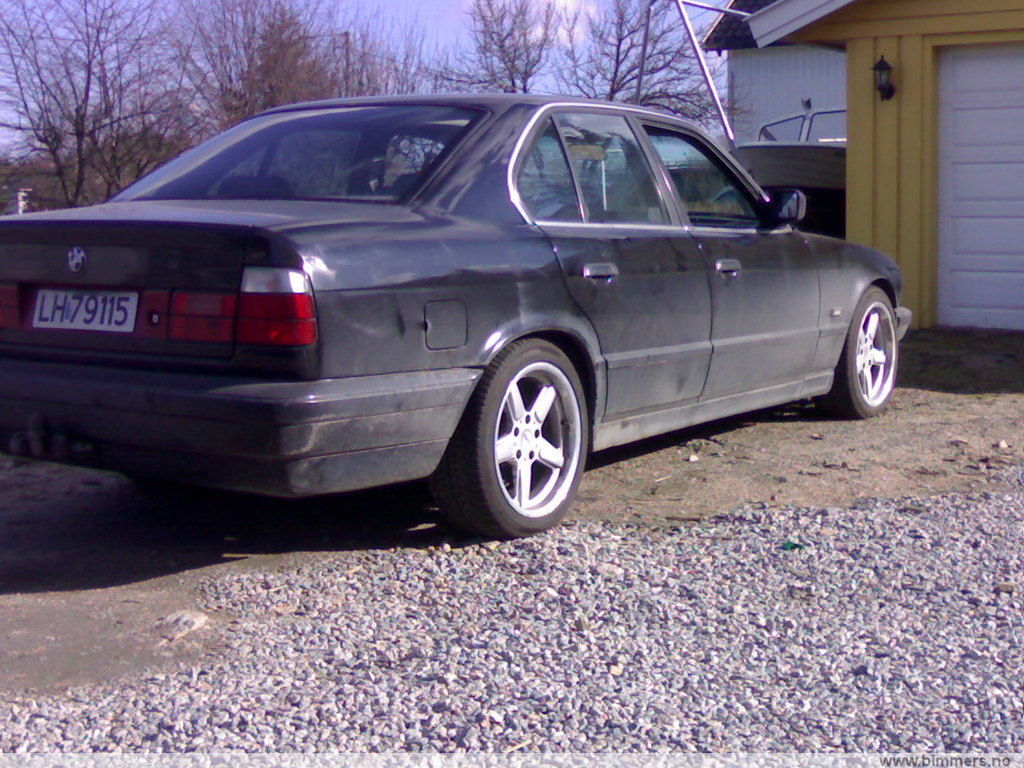 zwuadjfd65tvbu189otz.jpg