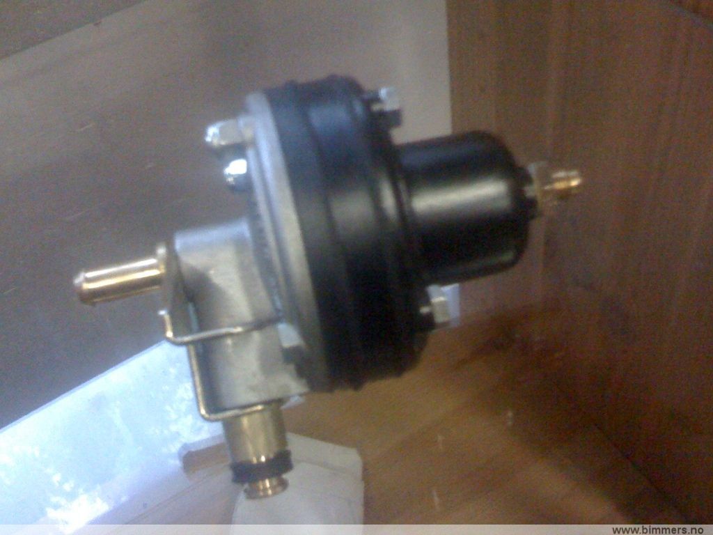 zyftm6pq1melq30m901j.jpg